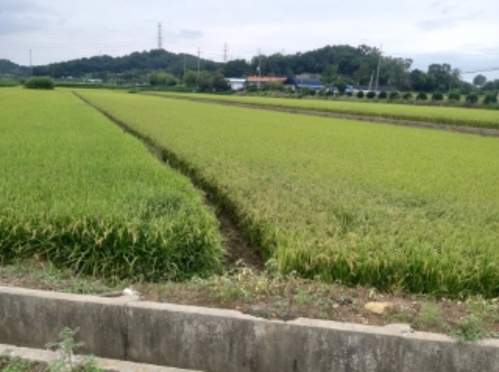 서산지원 2023타경4757-1 사진