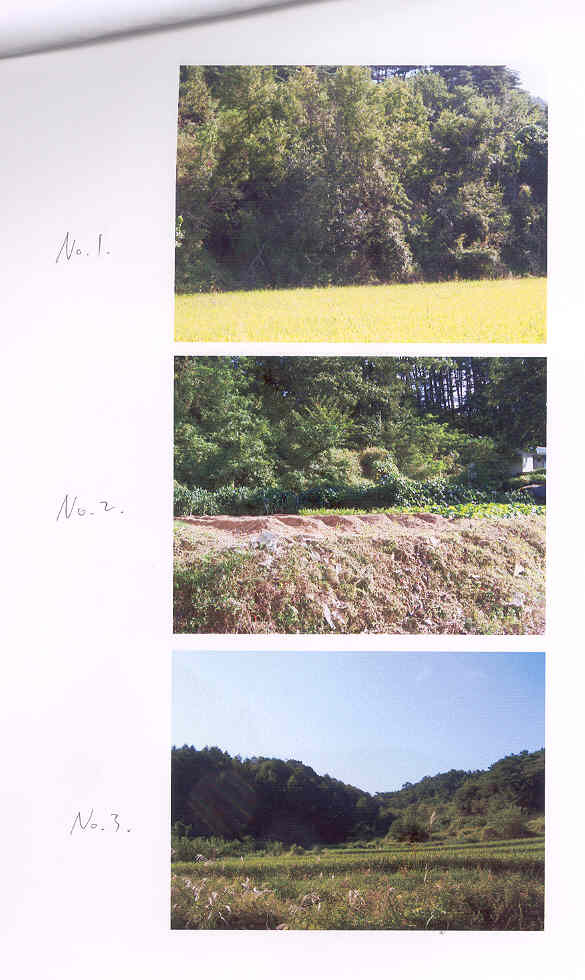대구지법 2006타경40799-3 사진