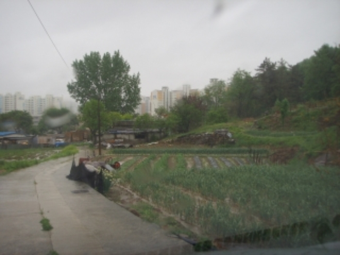 대구지법 2011타경11276-2 사진