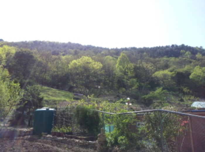 대구지법 2012타경9027-1 사진
