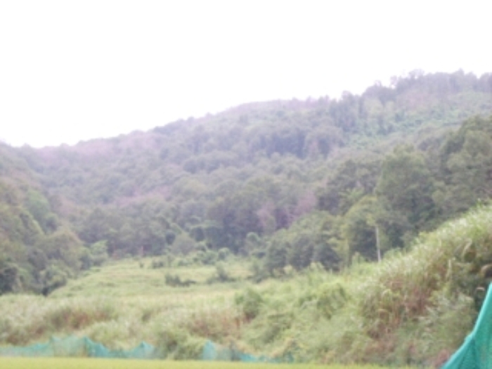 대구지법 2012타경18984-1 사진