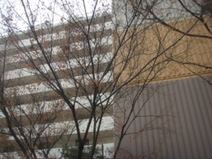 대구지법 2013타경881-1 사진