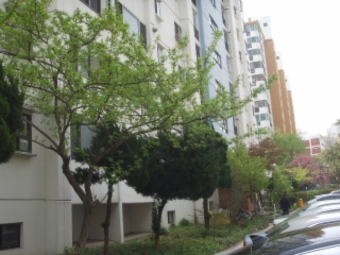 대구지법 2013타경7721-1 사진
