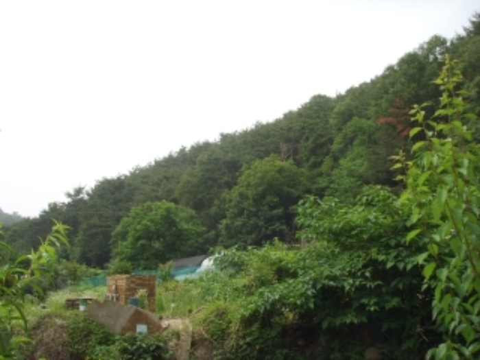 대구지법 2013타경10680-5 사진