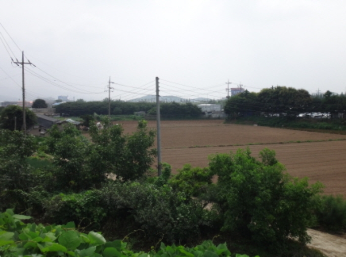 대구지법 2014타경10236-1 사진