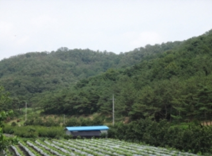 대구지법 2014타경10274-1 사진