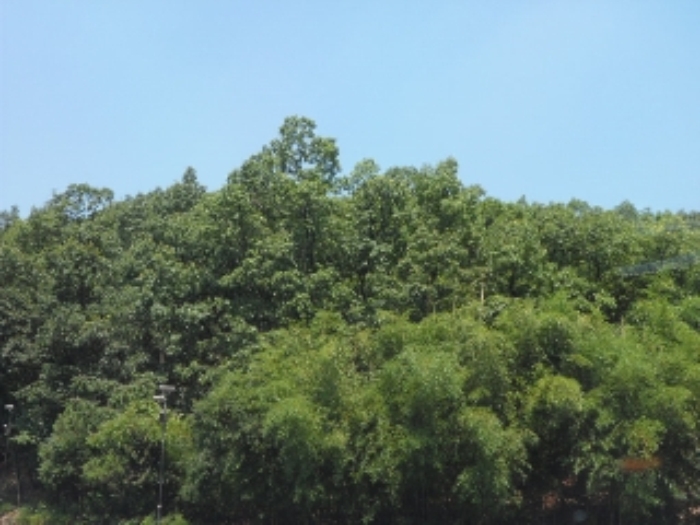 대구지법 2018타경104870-1 사진