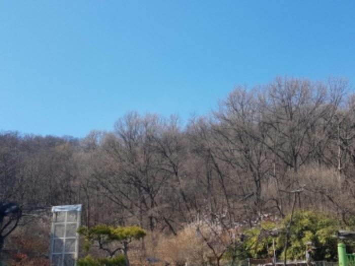 대구지법 2019타경784-2 사진