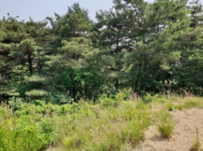 대구지법 2019타경6393-1 사진