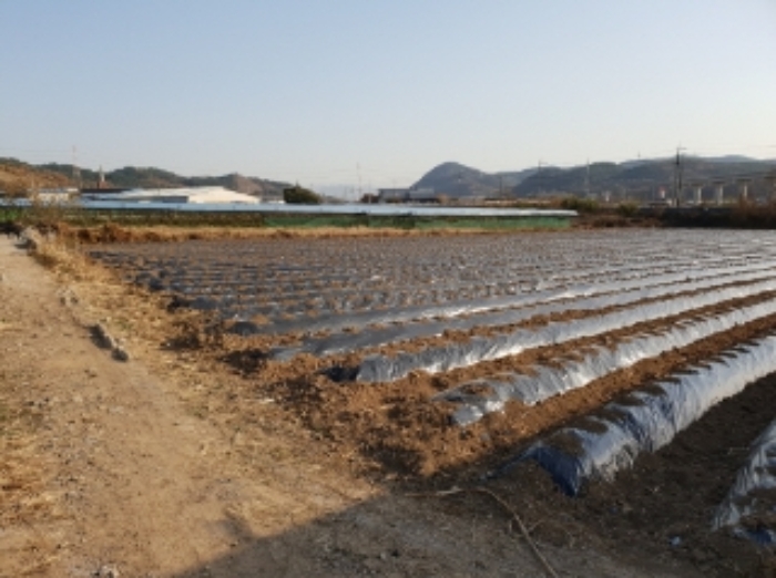 대구지법 2019타경14998-1 사진