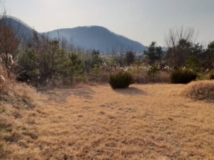 대구지법 2019타경16413-1 사진