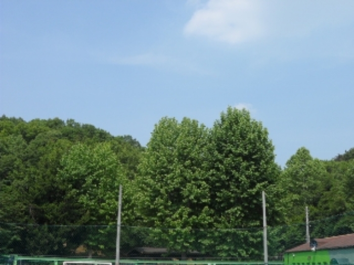 대구지법 2019타경104976-2 사진