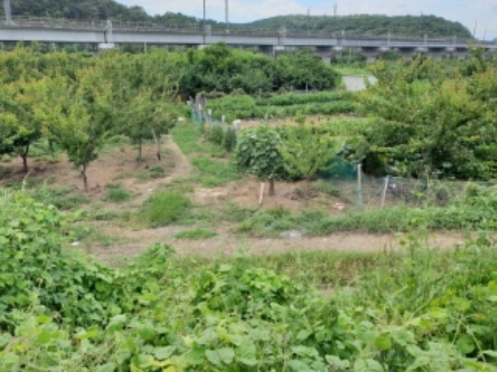 대구지법 2019타경108619-1 사진