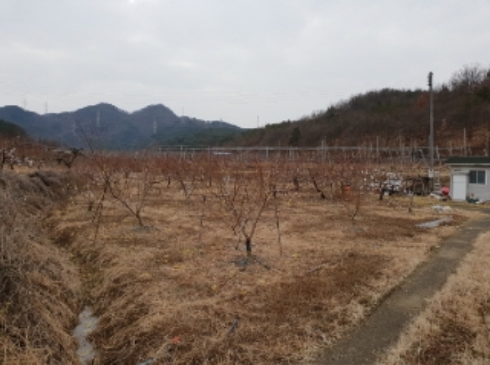 대구지법 2020타경63-1 사진