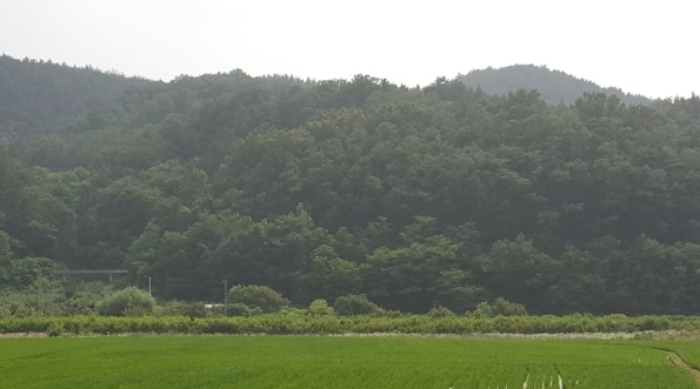 대구지법 2020타경6504-1 사진