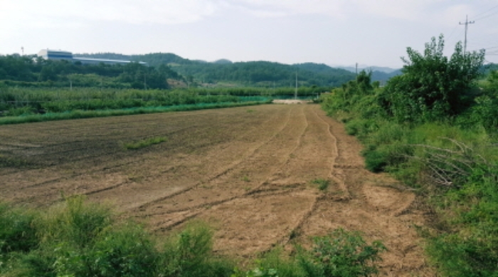 대구지법 2020타경8395-1 사진