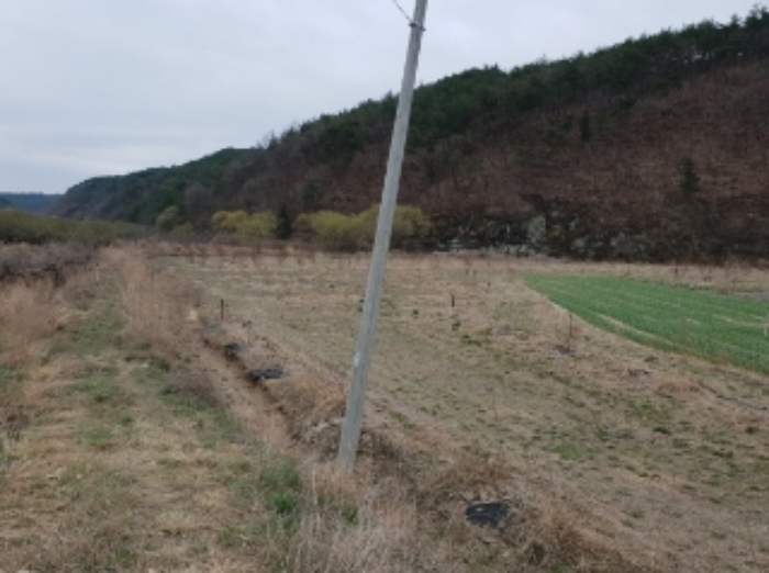 대구지법 2020타경103283-1 사진