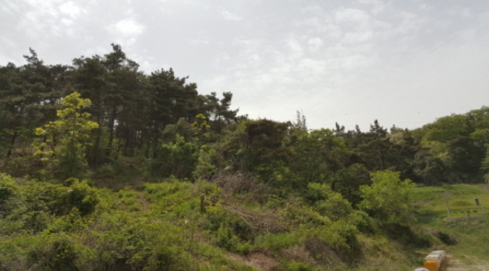 대구지법 2020타경105685-1 사진
