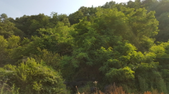 대구지법 2020타경106275-1 사진