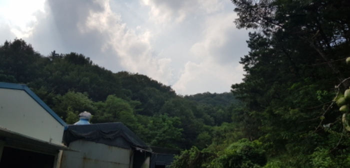 대구지법 2020타경109847-1 사진
