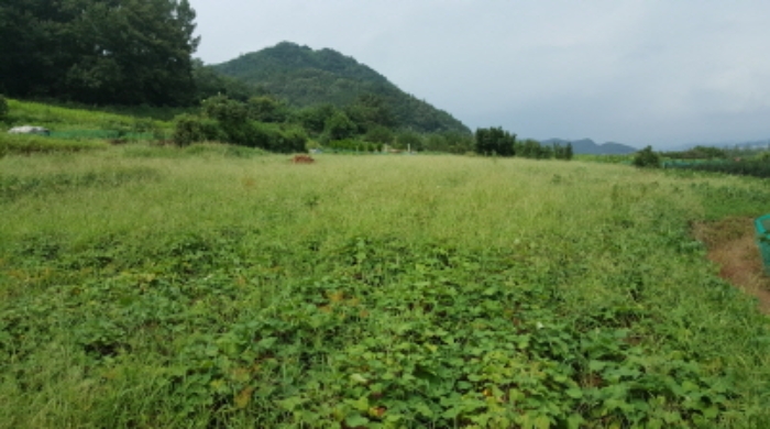 대구지법 2020타경110625-2 사진