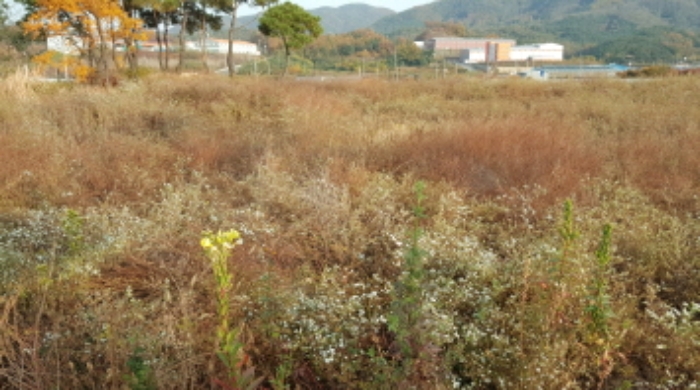 대구지법 2020타경112973-1 사진