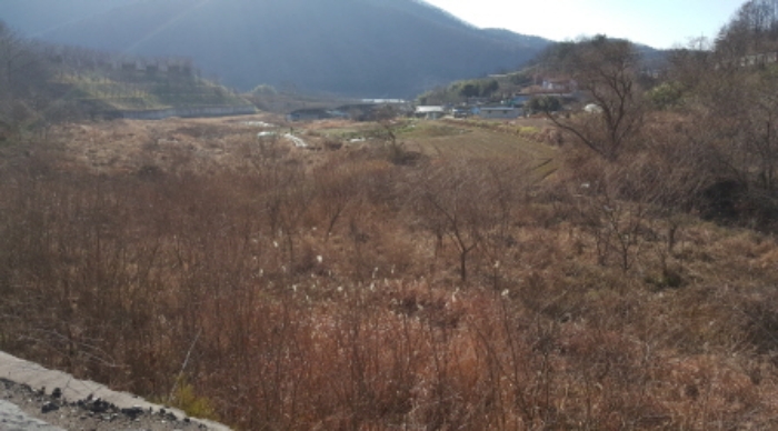 대구지법 2020타경113761-2 사진
