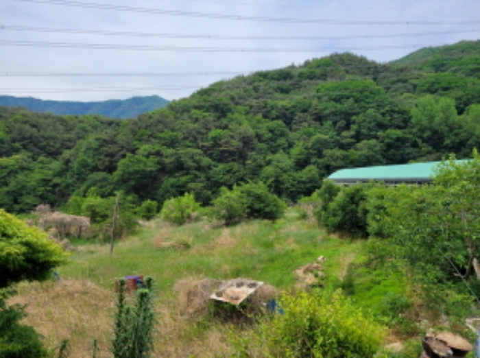 대구지법 2022타경2780-1 사진