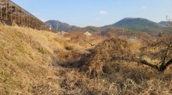 대구지법 2022타경7204-1 사진