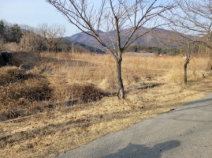 대구지법 2022타경100783-1 사진