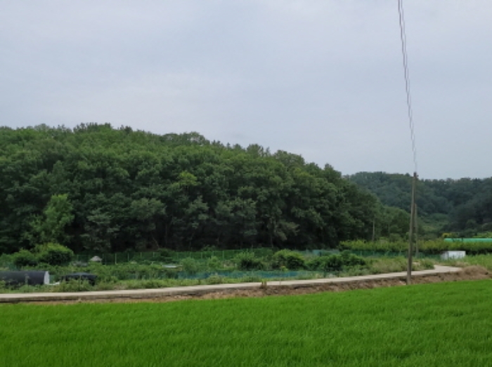 대구지법 2022타경111400-1 사진