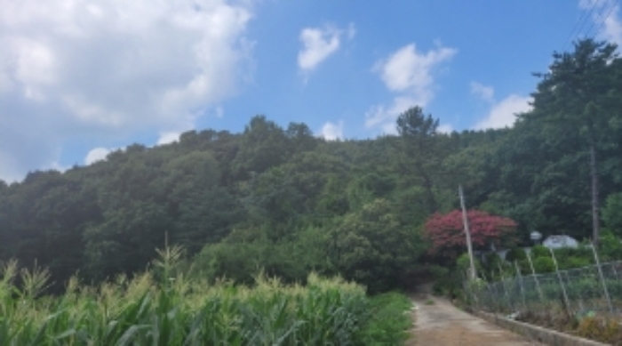 대구지법 2022타경111493-1 사진