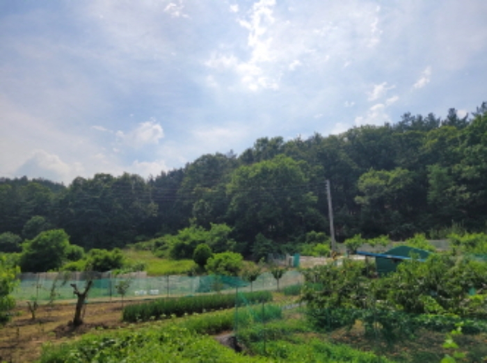 대구지법 2023타경4035-1 사진
