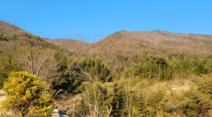 대구지법 2023타경100100-1 사진