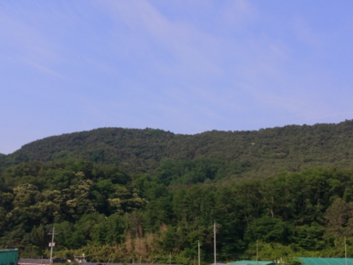 대구지법 2023타경108913-2 사진