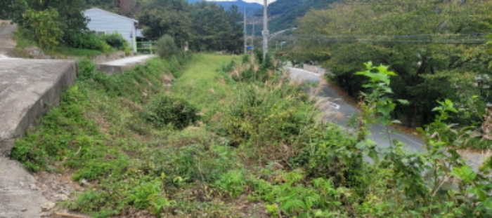 대구 2024타경6915-1 사진