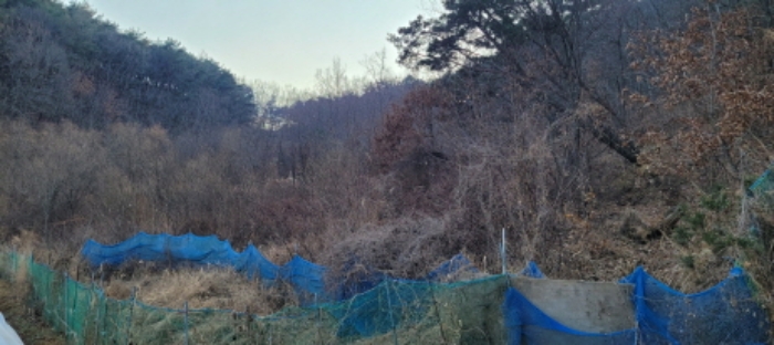 대구 2024타경11344-1 사진