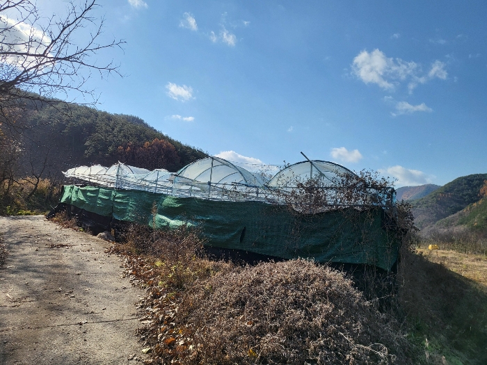 대구지법 2024타경127034-2 사진