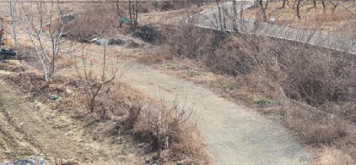 대구지법 2025타경37-1 사진