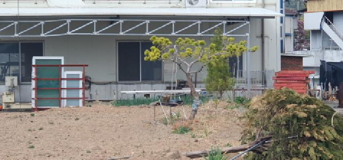 대구 2025타경619-1 사진