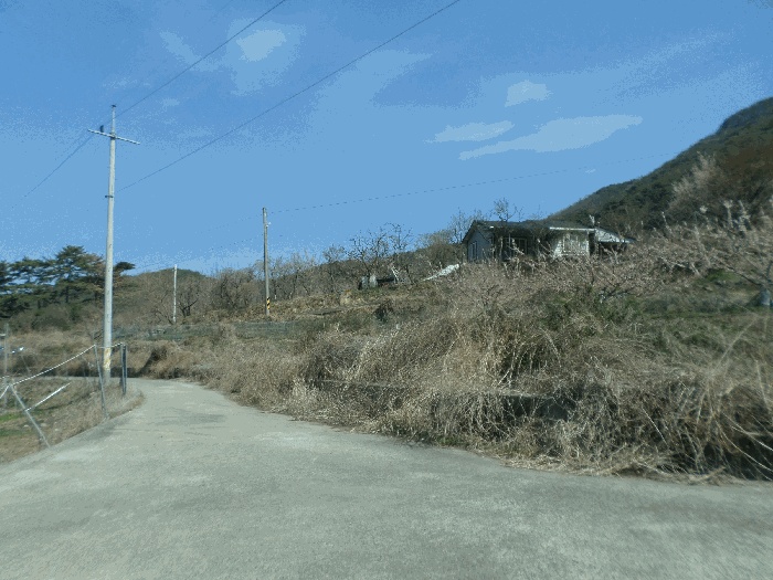 대구지법 2025타경672-1 사진