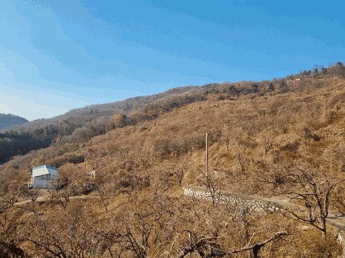 대구지법 2025타경1259-1 사진