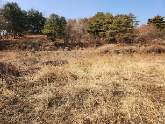 대구지법 2025타경1346-1 사진