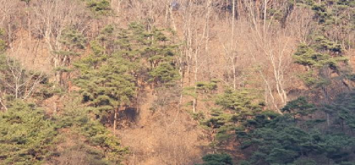 대구지법 2025타경6219-1 사진