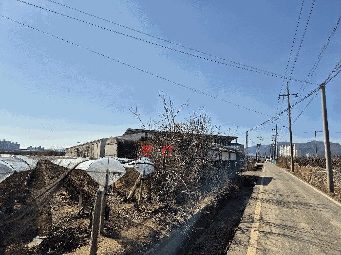 대구지법 2025타경7243-1 사진