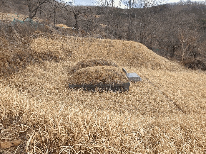 대구 2025타경7361-1 사진