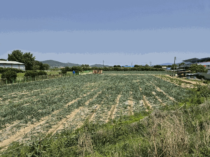 대구지법 2025타경7968-1 사진
