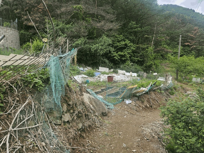 대구지법 2025타경7996-1 사진