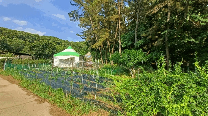 대구지법 2025타경8188-1 사진
