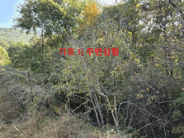대구지법 2025타경9478-1 사진